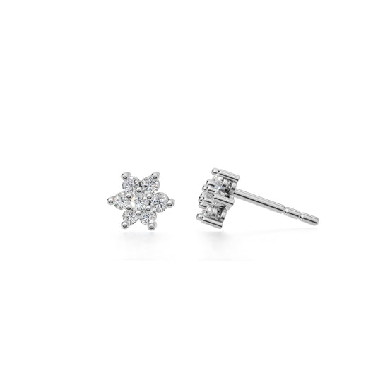 The Stellara Studs