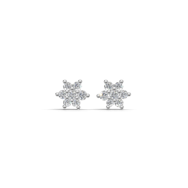The Stellara Studs