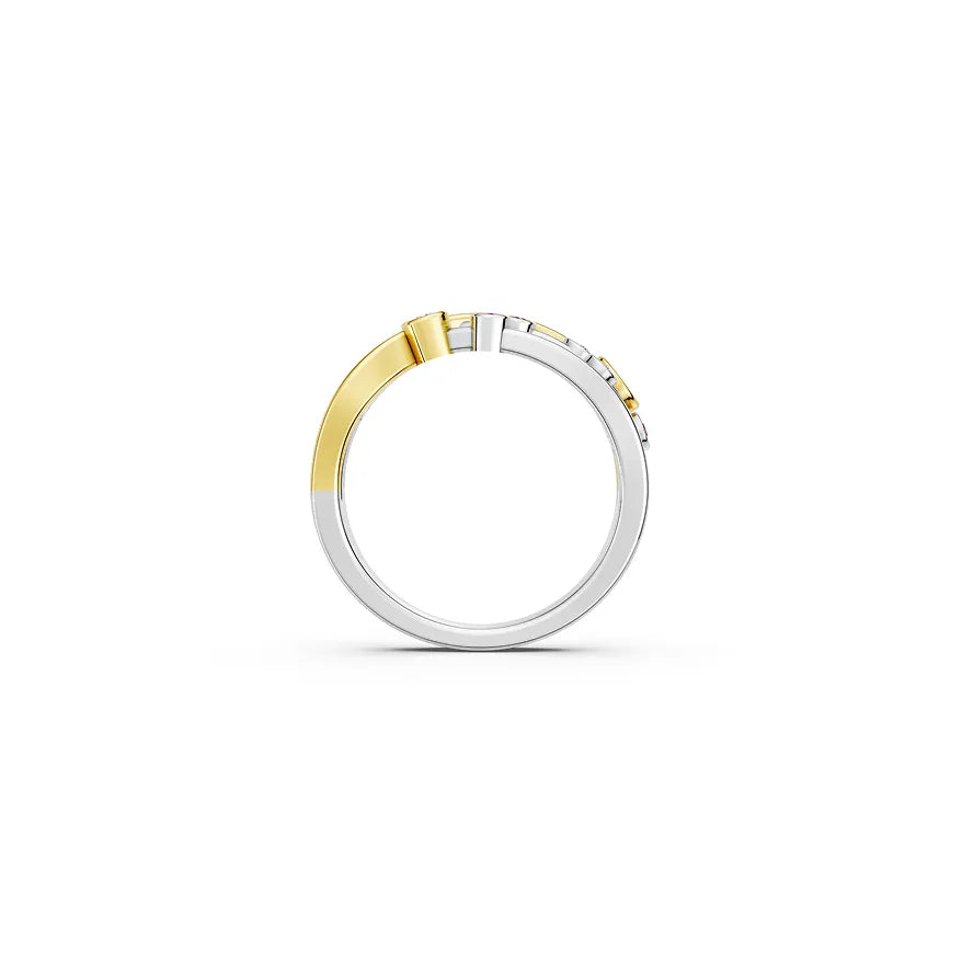 Aurora Orbit Ring