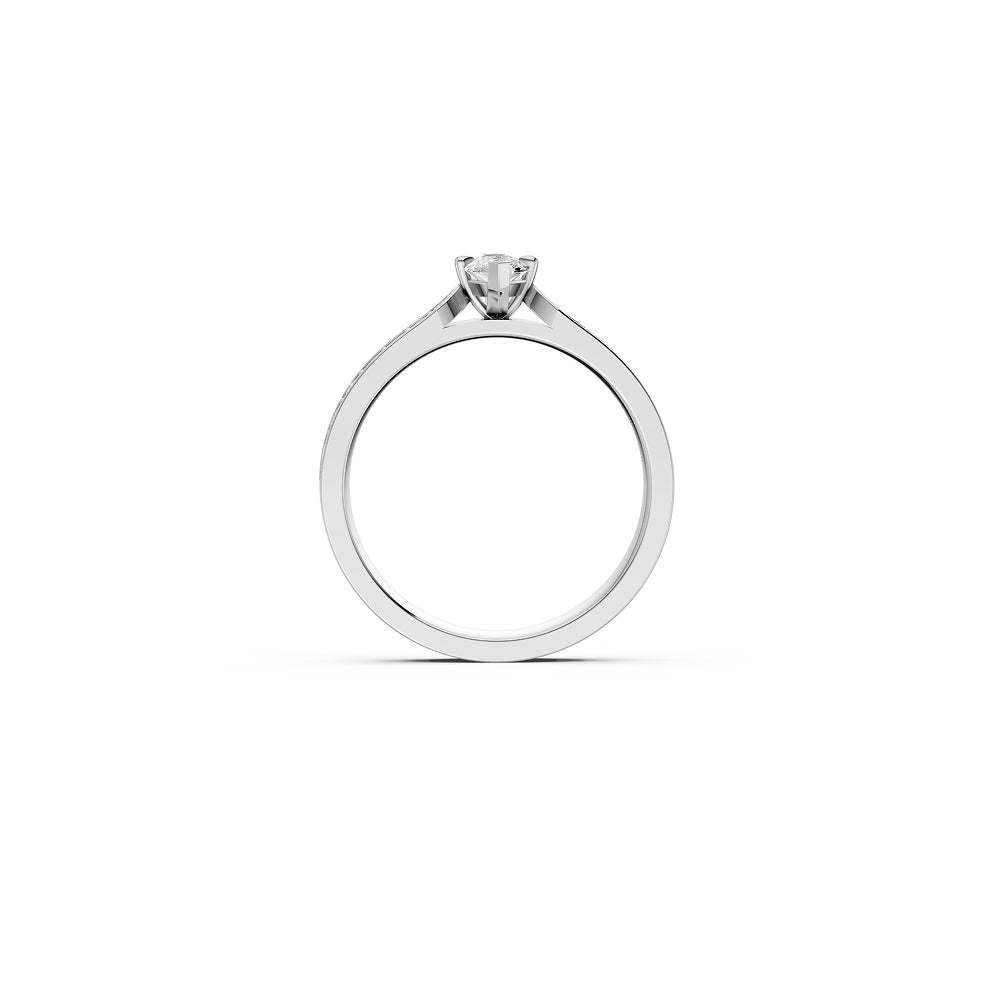 The Marquise Whisper