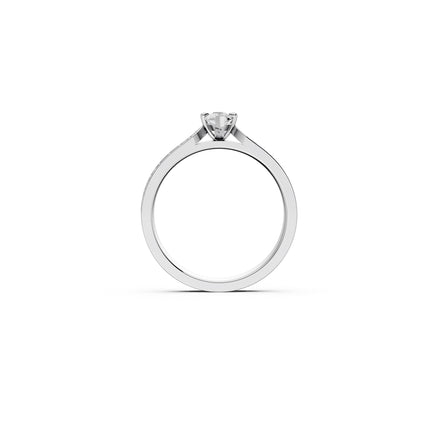 The Marquise Whisper