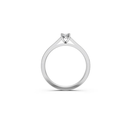 Mini Oval Lumière