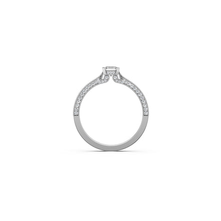 Petite Quadrant