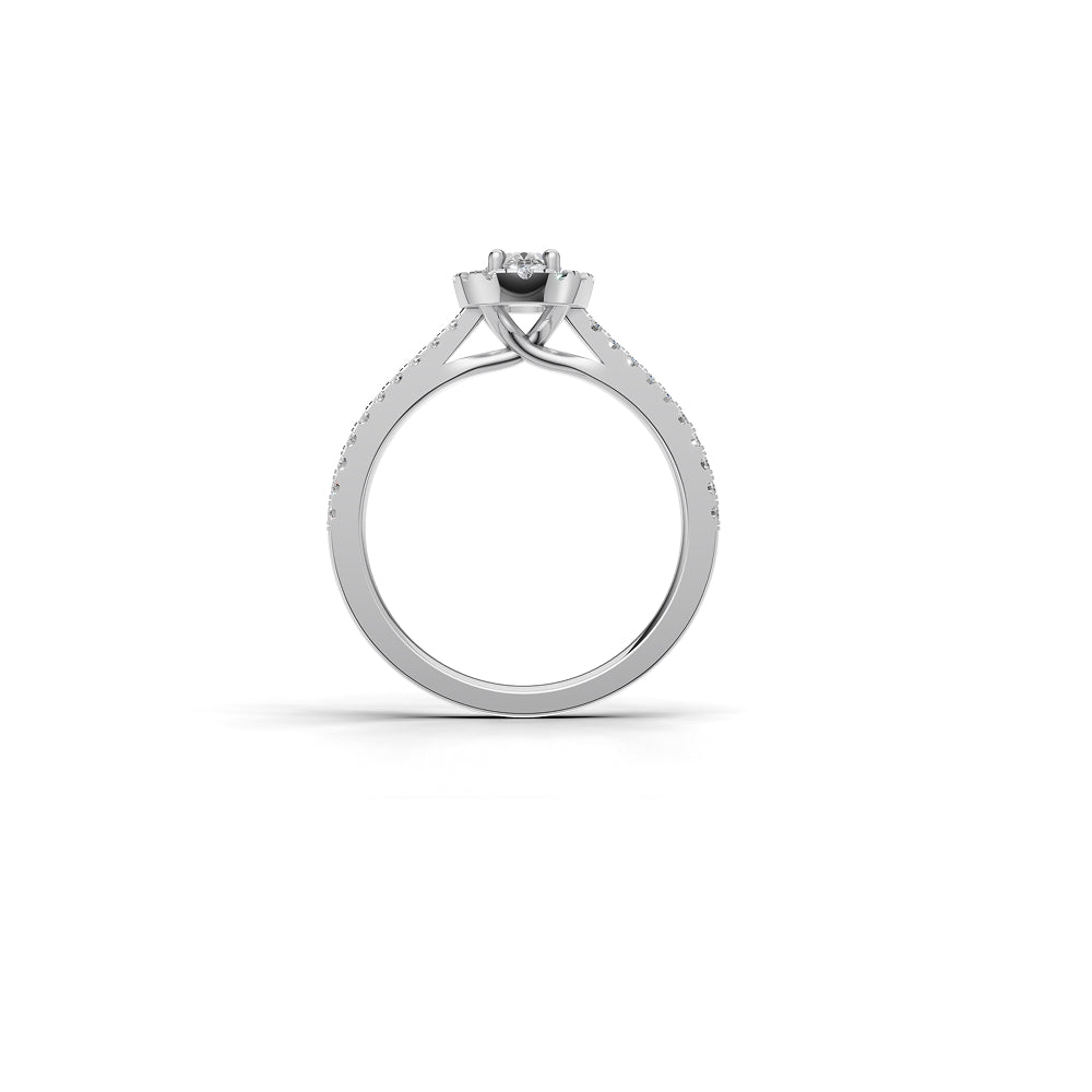 The Oval Silhouette