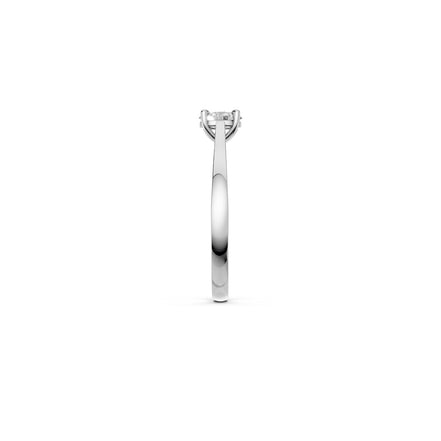 Mini Oval Lumière