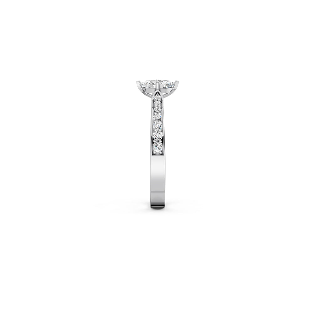 The Marquise Whisper
