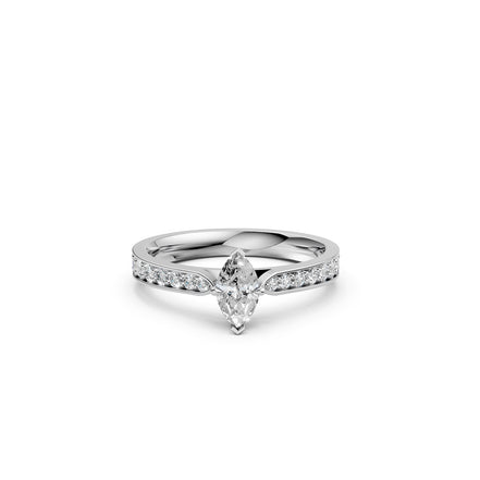 The Marquise Whisper