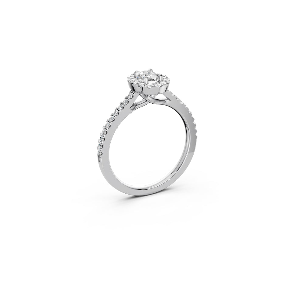 The Oval Silhouette