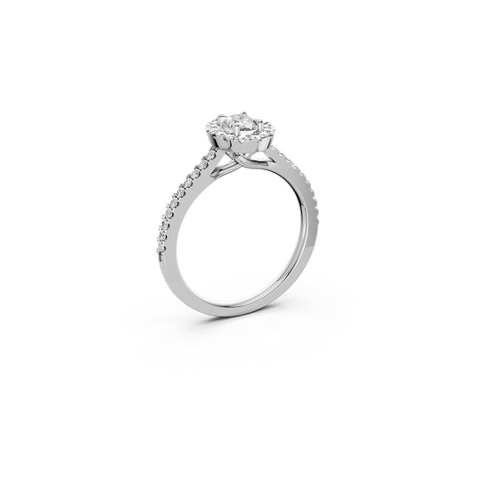 The Oval Silhouette