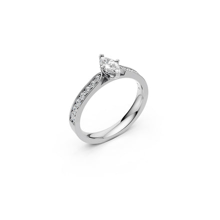 The Marquise Whisper