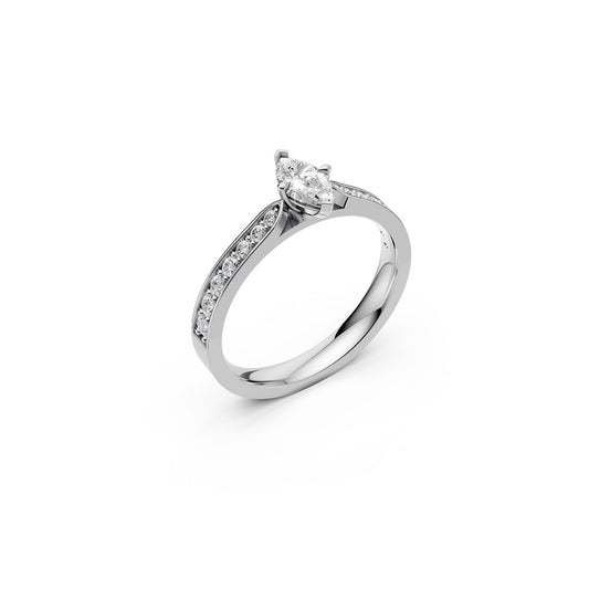 The Marquise Whisper